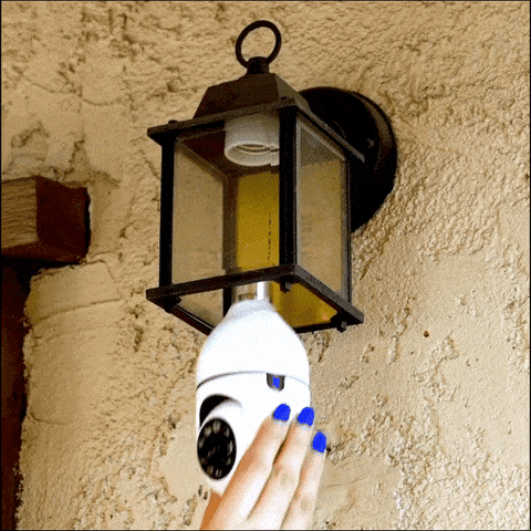 bulb-camera
